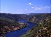 bloques/fotos/gal/Castelo_Branco_-_Tejo_Internacional/_thb_QUERCUS__tejo_internacional_copy.jpg